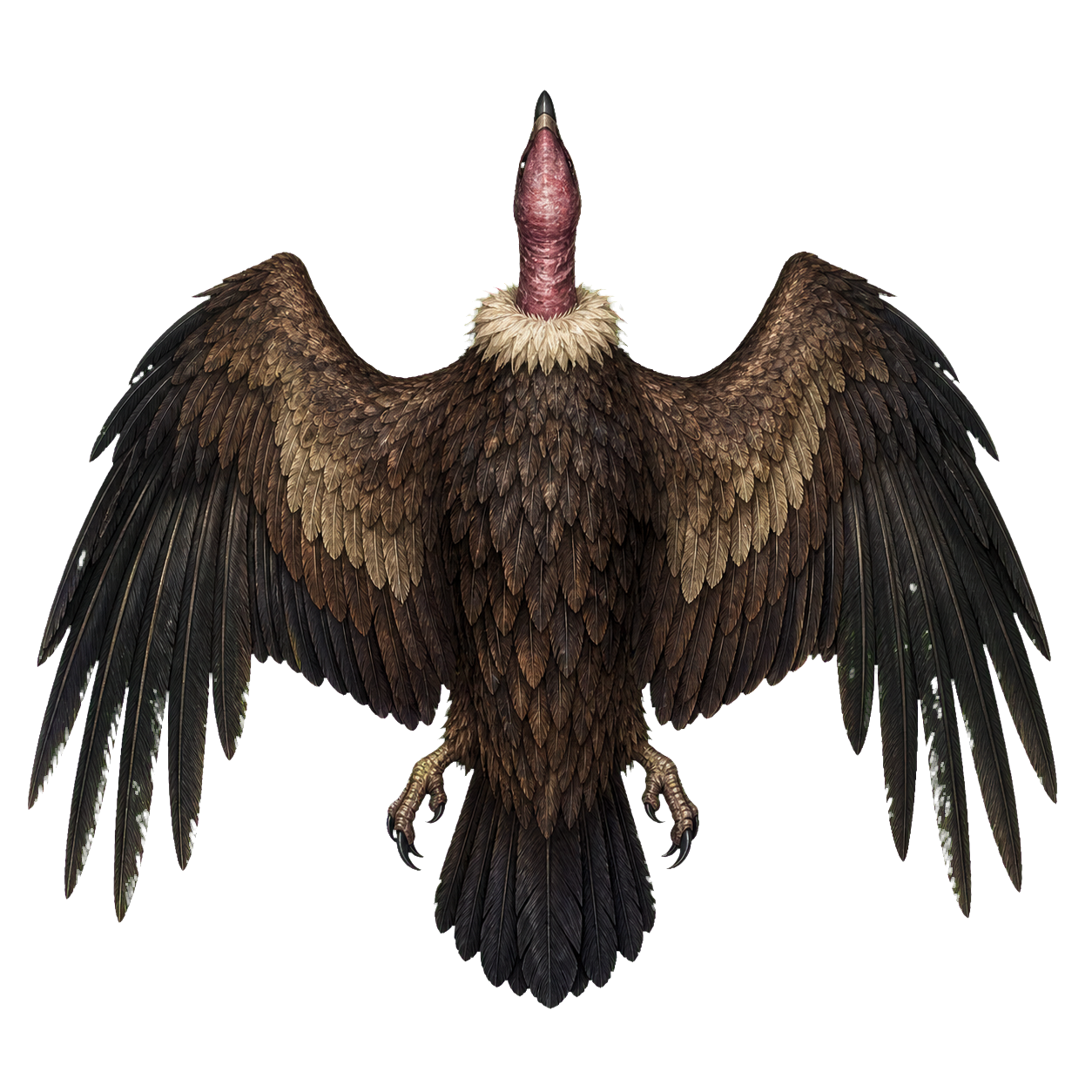 Giant Vulture top-down encounter token