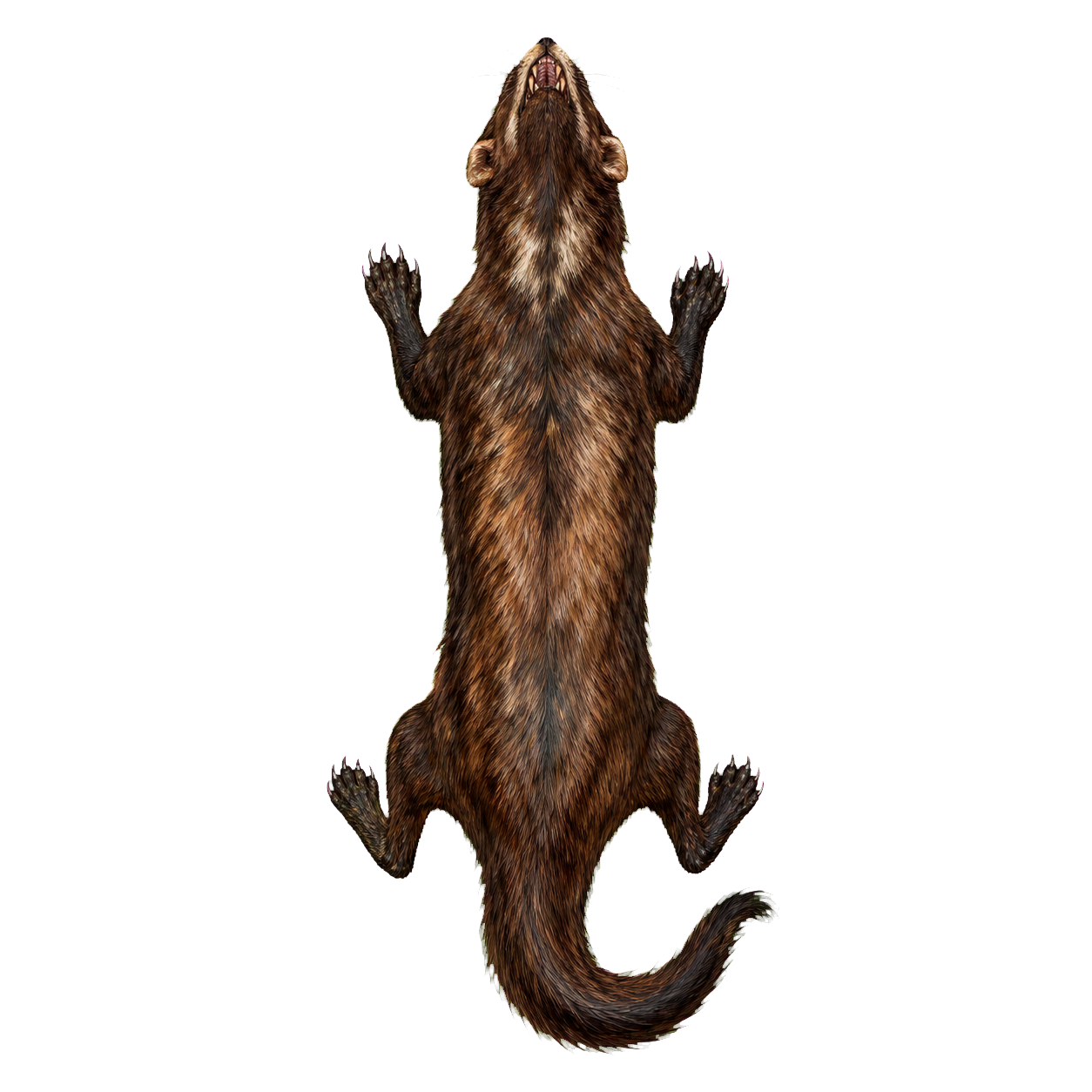 Giant Weasel top-down encounter token