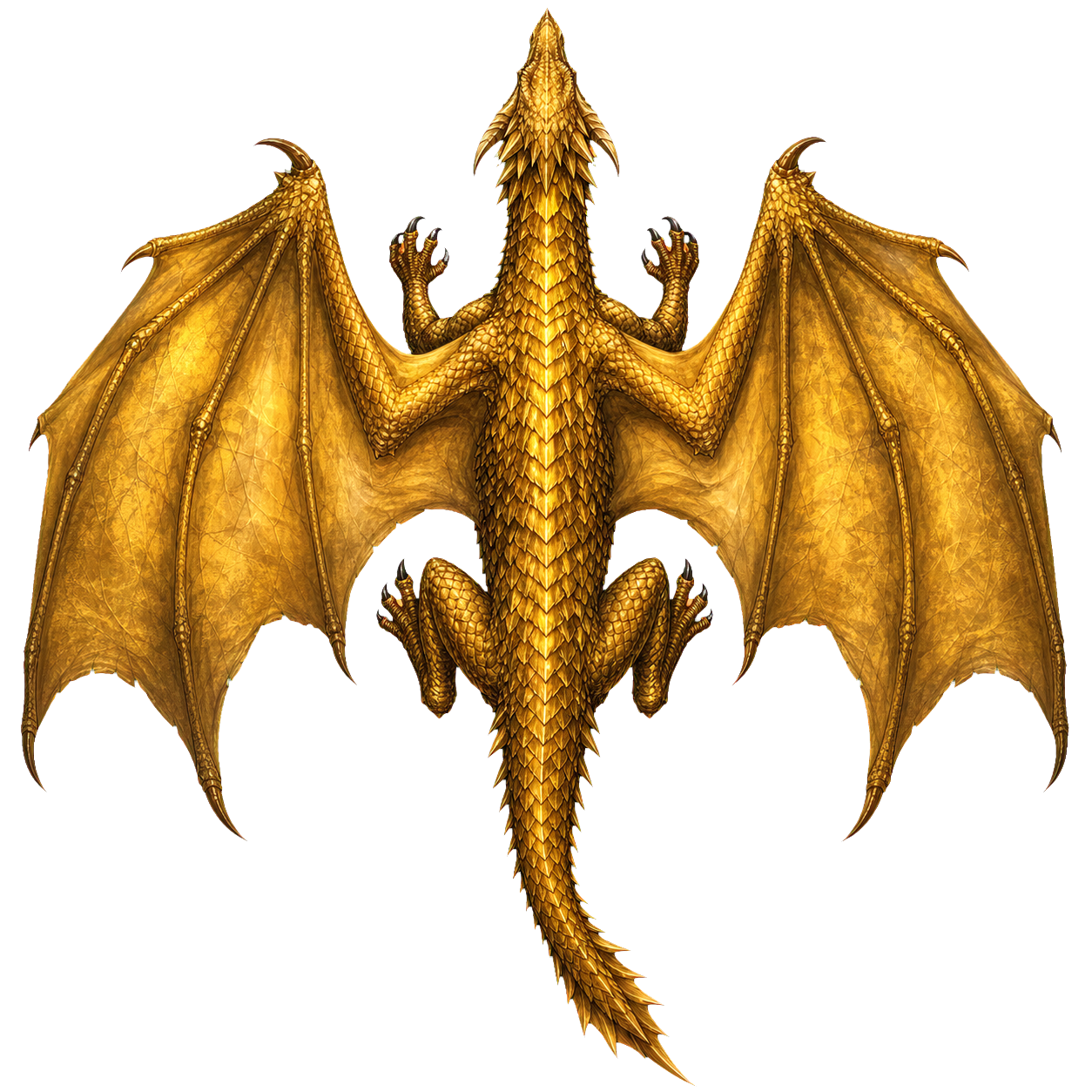 Young Gold Dragon top-down encounter token