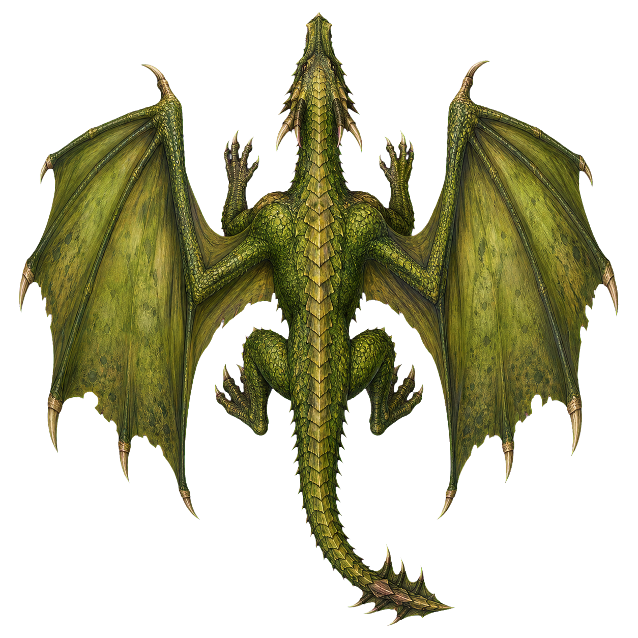 Young Green Dragon top-down encounter token