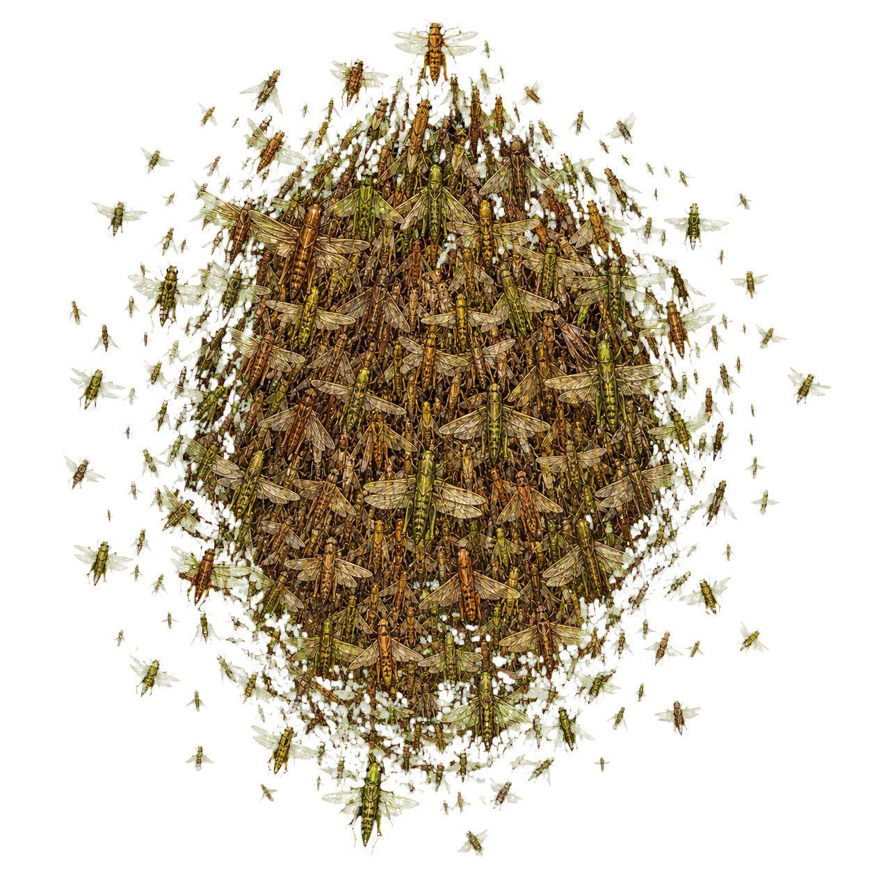 Locust Swarm top-down encounter token