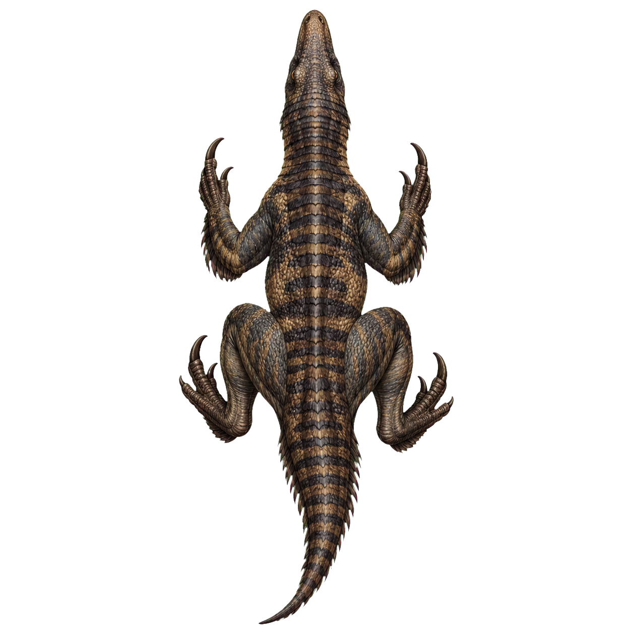 Megaraptor top-down encounter token