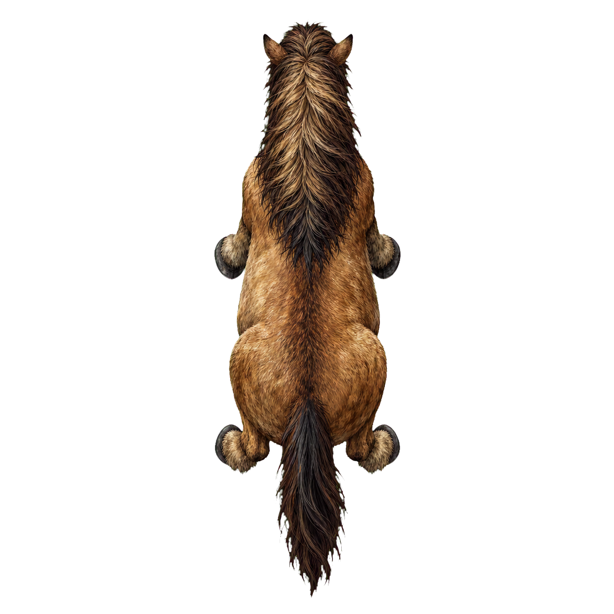 Pony top-down encounter token