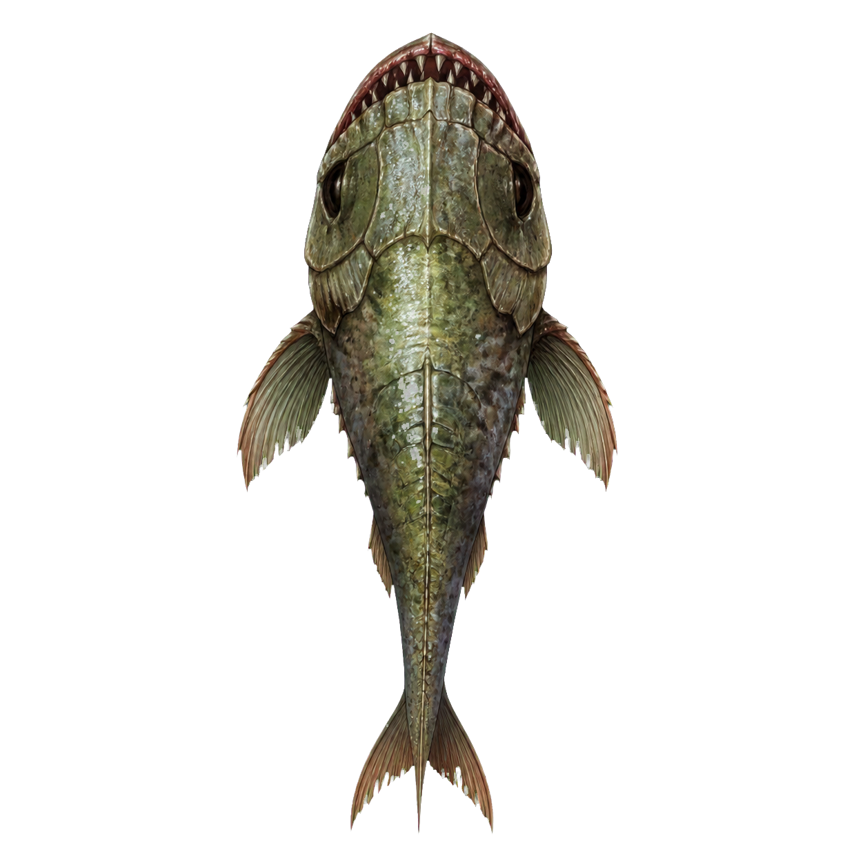 Quipper top-down encounter token