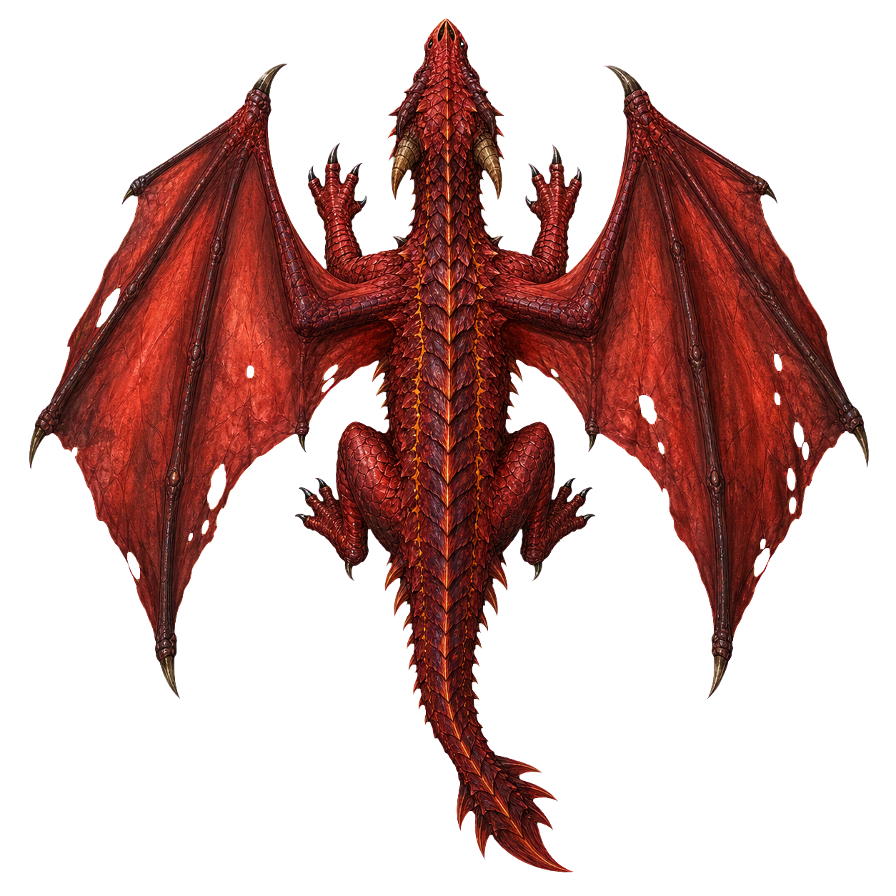 Red Dragon Wyrmling top-down encounter token