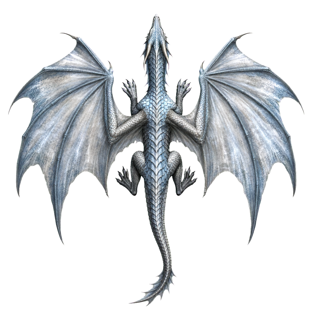 Young Silver Dragon top-down encounter token