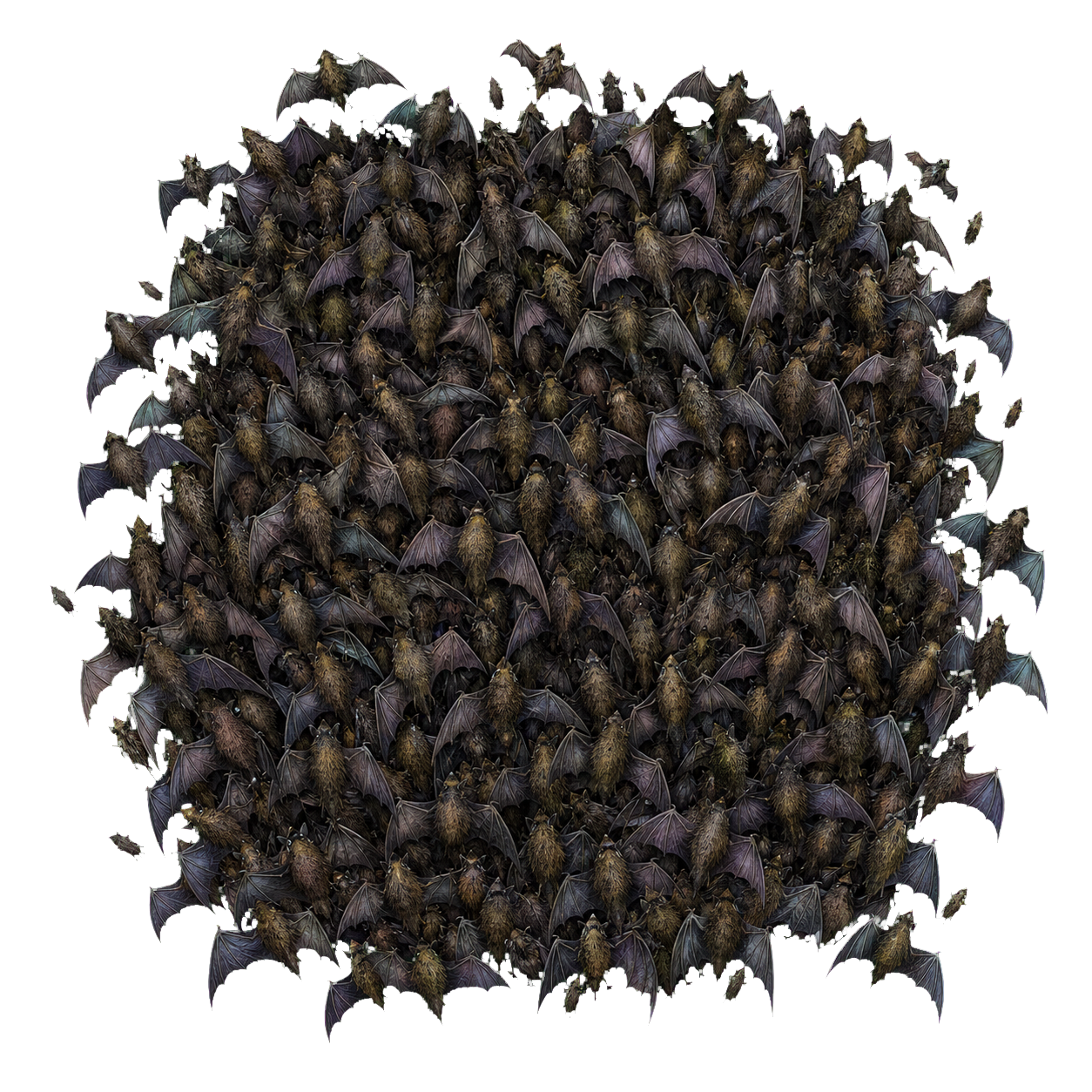 Swarm of Bats top-down encounter token