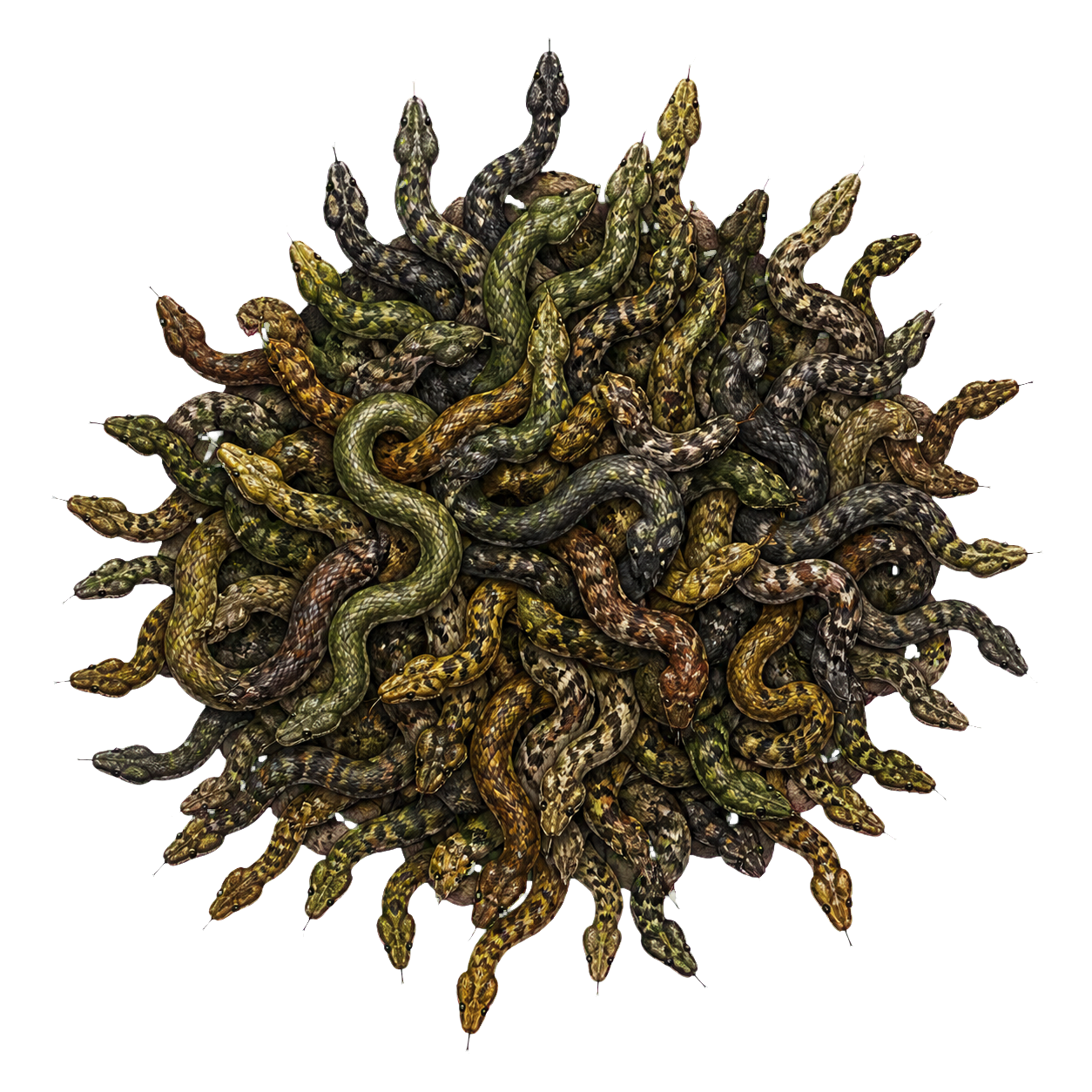 Swarm of Poisonous Snakes top-down encounter token