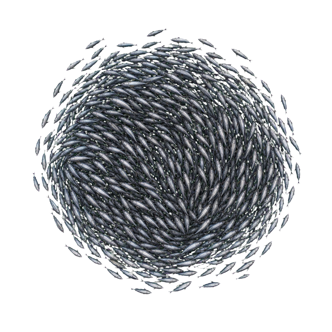 Swarm of Quippers top-down encounter token
