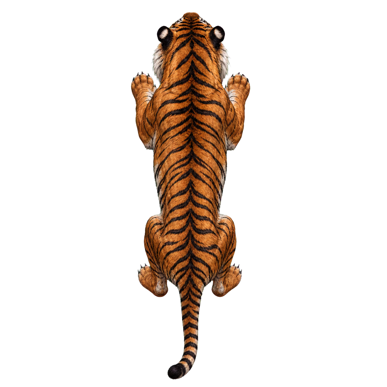 Tiger top-down encounter token