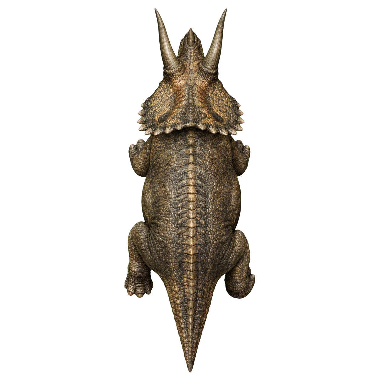 Triceratops top-down encounter token